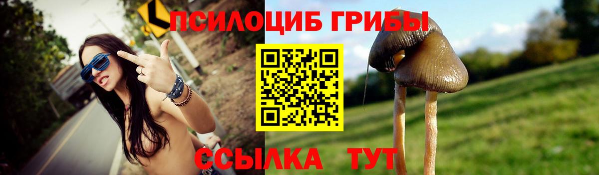 Псилоцибиновые грибы Magic Shrooms Липецк